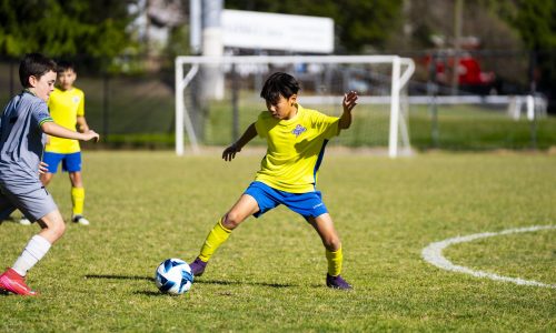 Academy EOI